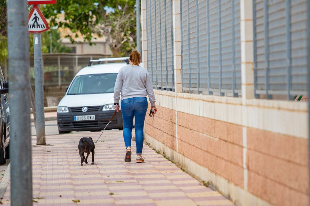 El sábado comienzan los paseos para los adultos en España El sábado comienzan los paseos para los adultos en España