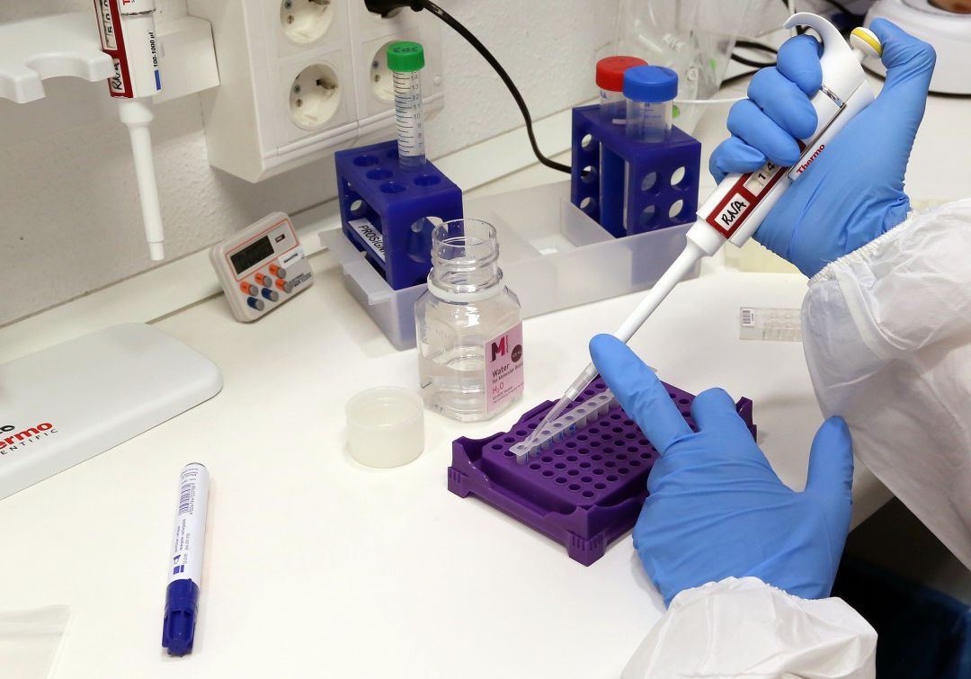 Pruebas en un laboratorio.
UMA Pruebas en un laboratorio.
UMA