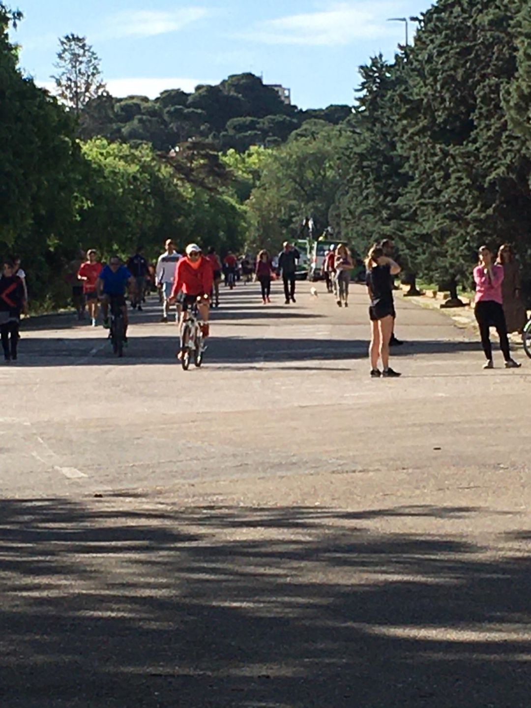 Aspecto del parque Labordeta este sábado Aspecto del parque Labordeta este sábado