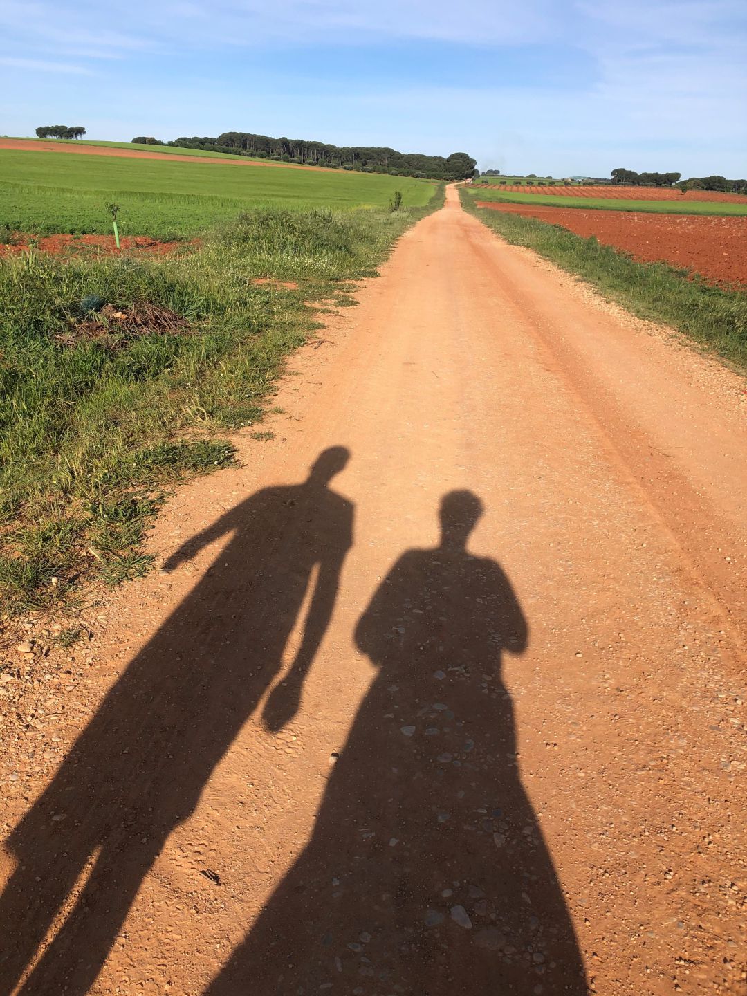 Una pareja pasea por el campo Una pareja pasea por el campo