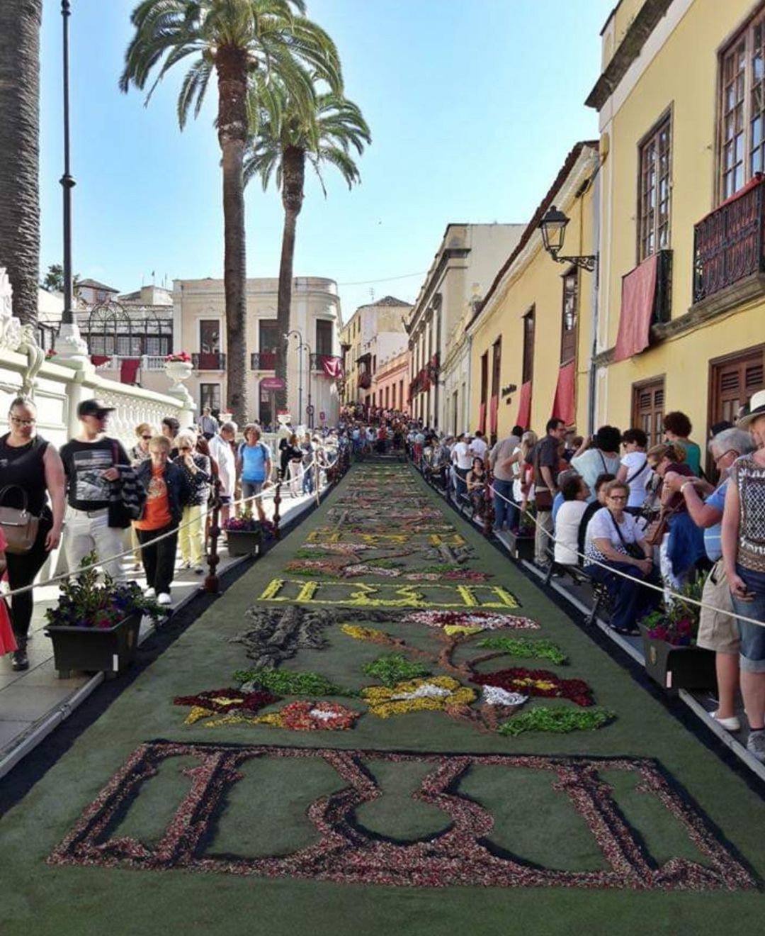 Corrido en la festividad de la Octava de Corpus de La Orotava. Corrido en la festividad de la Octava de Corpus de La Orotava.