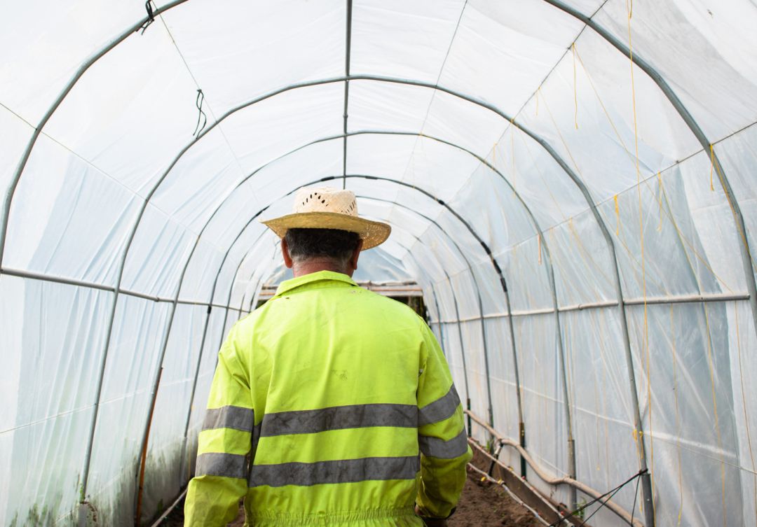 Un agricultor Un agricultor