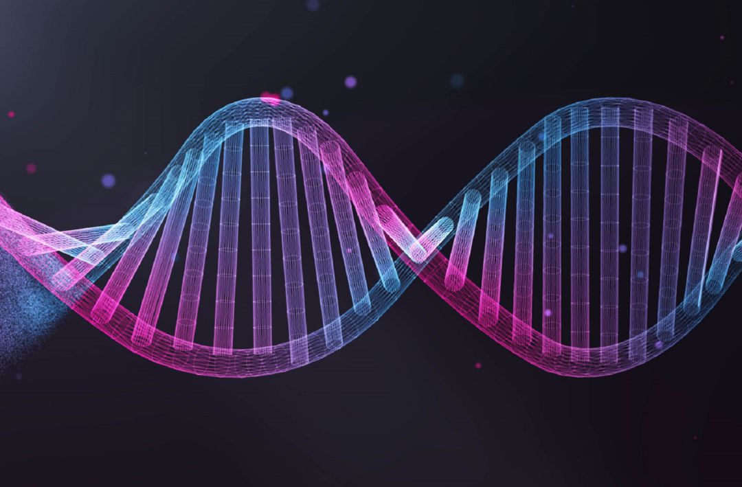 Un grupo de investigadores jiennenses quieren descubrir el alcance de la genética en el comportamiento del coronavirus Un grupo de investigadores jiennenses quieren descubrir el alcance de la genética en el comportamiento del coronavirus