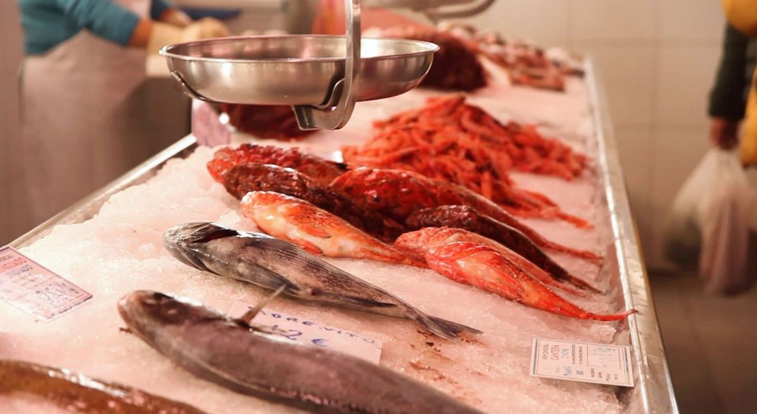 El Consell inicia una campanya per promocionar productes de Menorca com el peix capturat pels pescadors illencs. El Consell inicia una campanya per promocionar productes de Menorca com el peix capturat pels pescadors illencs.