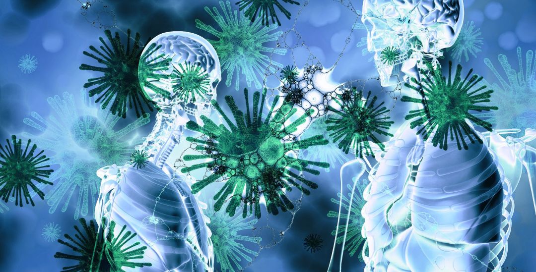 Dotze menorquins que tenien coronavirus ja han mort a l'illa. Dotze menorquins que tenien coronavirus ja han mort a l'illa.