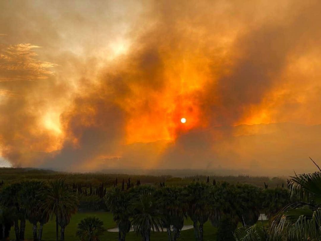 Incendio en la Vega de Salobreña Incendio en la Vega de Salobreña