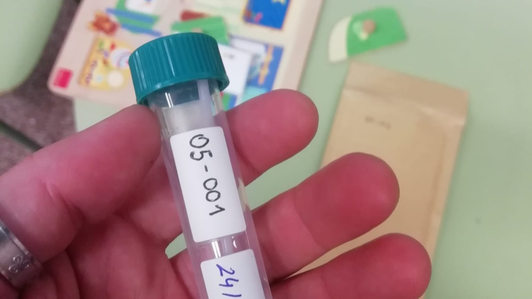 Fisabio investiga si la vacuna de la gripe puede servir contra la COVID-19