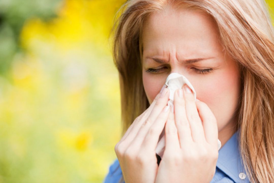 Alergia Alergia