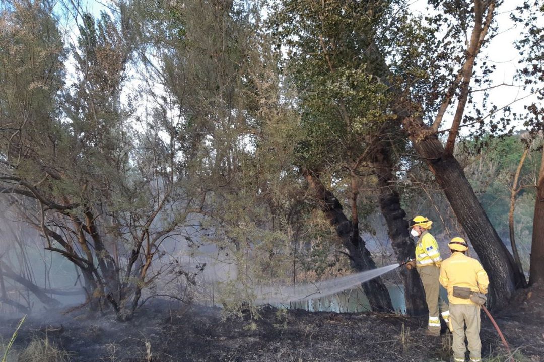 Labores de extinción en el incendio forestal declarado en Casas de Ves Labores de extinción en el incendio forestal declarado en Casas de Ves