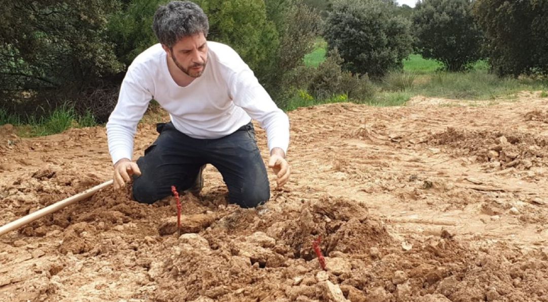 Las cepas plantadas están en peligro de extinción Las cepas plantadas están en peligro de extinción
