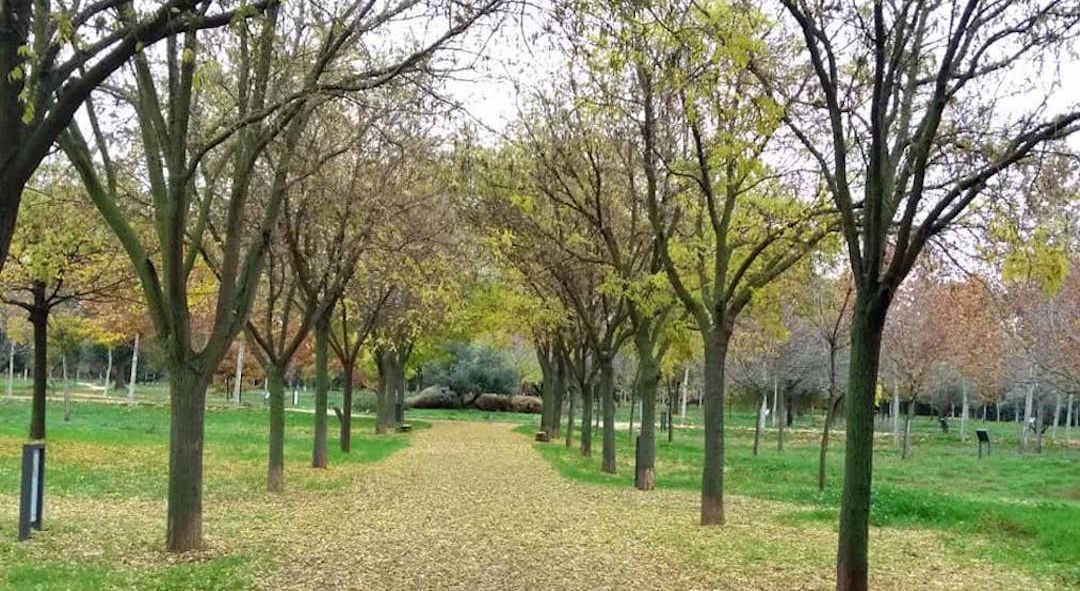 Parque Arboreto Reyes Católicos Parque Arboreto Reyes Católicos