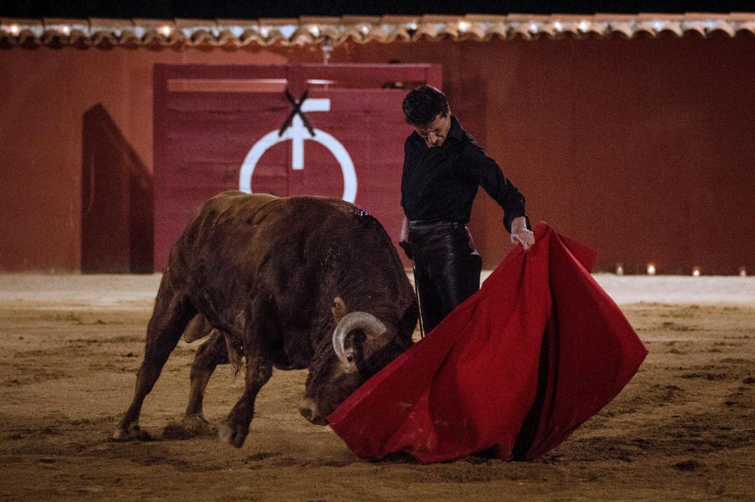 El propietario de la finca 'Los Cerros' de La Higuera desmiente que se celebrara un festejo taurino El propietario de la finca 'Los Cerros' de La Higuera desmiente que se celebrara un festejo taurino