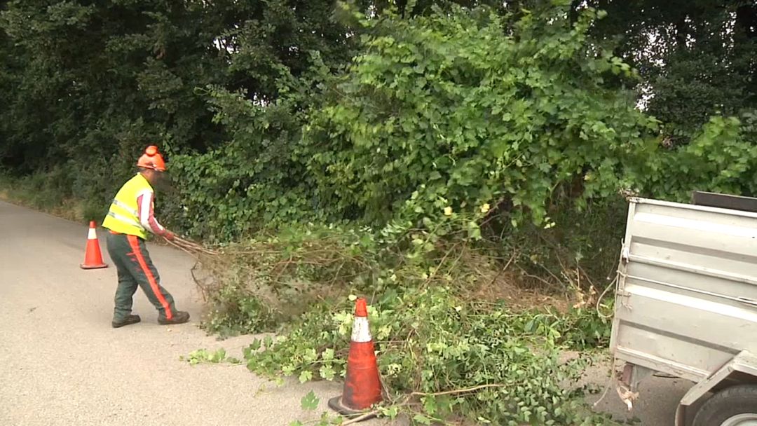 Limpieza de las cunetas en los caminos rurales de Andújar Limpieza de las cunetas en los caminos rurales de Andújar