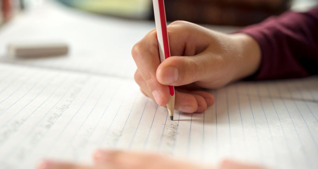 Proceso de escolarización 20-21 Proceso de escolarización 20-21