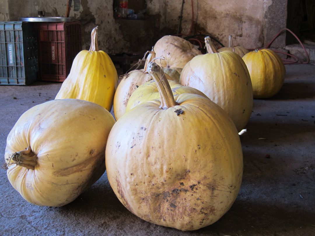 El mercadillo de productos ecológicos de Logroño vuelve este sábado El mercadillo de productos ecológicos de Logroño vuelve este sábado