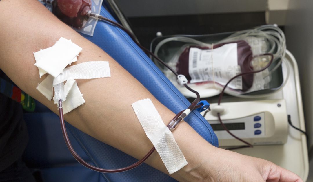 Donación de sangre Donación de sangre