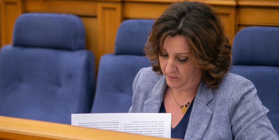 La consejera de Economía, Empresas y Empleo, Patricia Franco. La consejera de Economía, Empresas y Empleo, Patricia Franco.