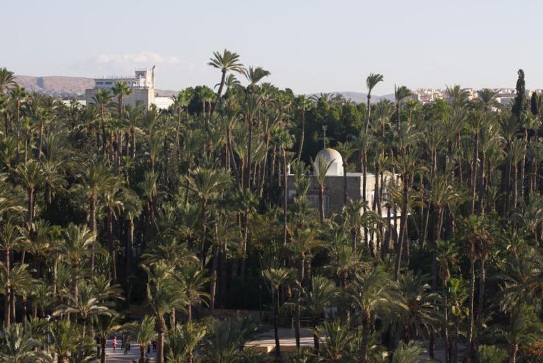 Elche Elche