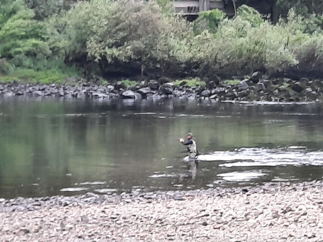 Se abre por segunda vez, la temporada de pesca fluvial Se abre por segunda vez, la temporada de pesca fluvial