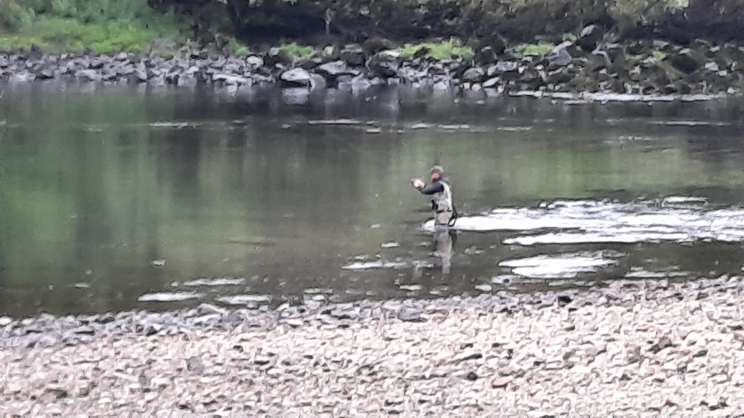 La temporada de pesca fluvial se volverá abrir este martes 19 de mayo