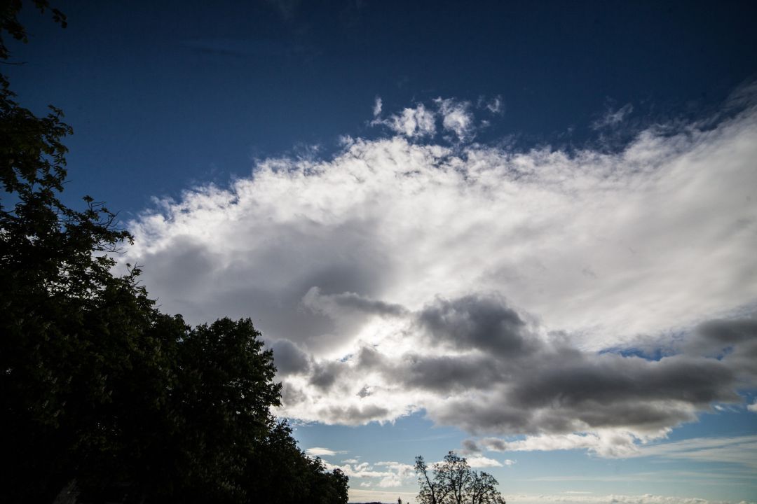 Cielo Cielo