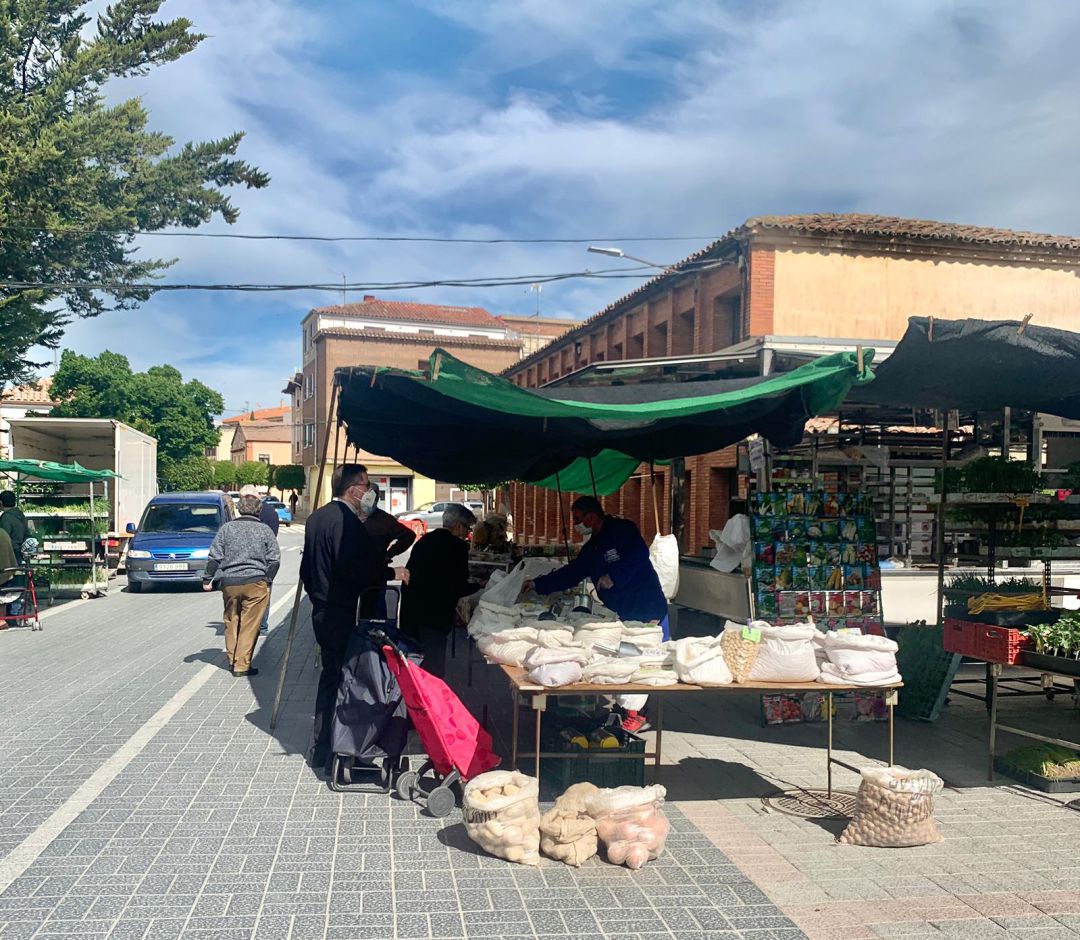 El mercadillo de Roa ha recuperado su actividad con cuatro puestos de legumbres y viveros El mercadillo de Roa ha recuperado su actividad con cuatro puestos de legumbres y viveros