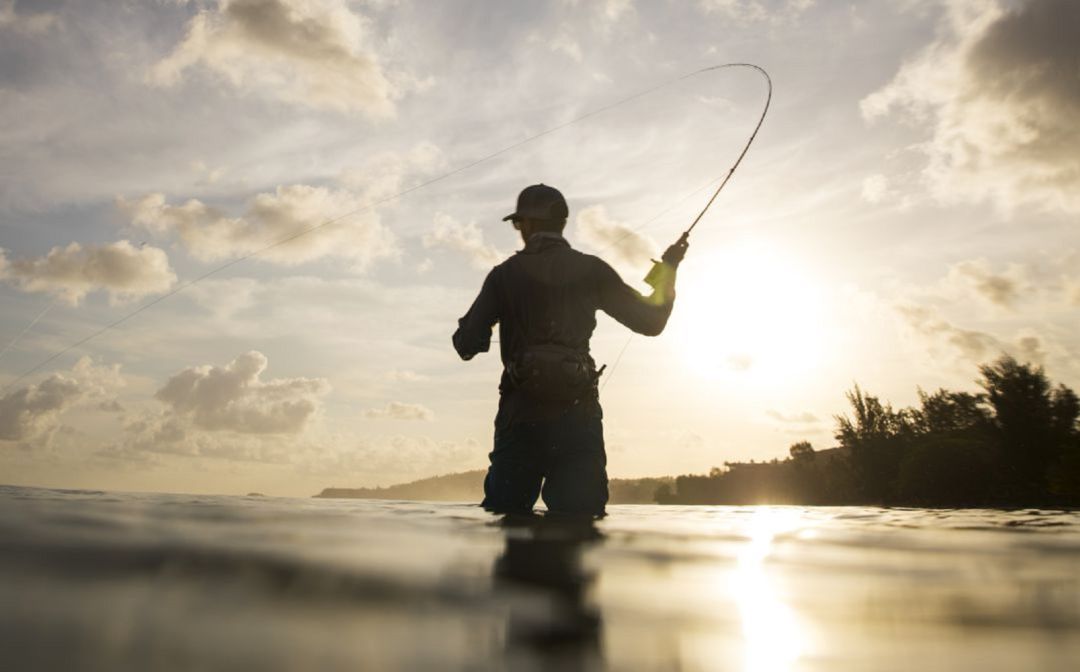 Pesca deportiva Pesca deportiva