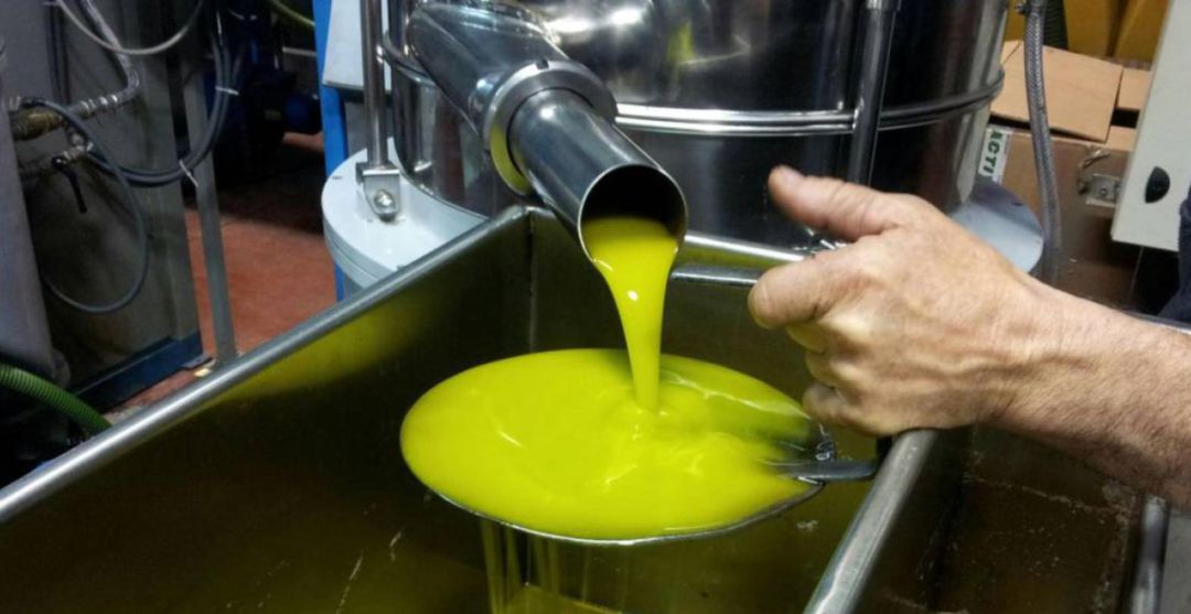 Aceite de Oliva Virgen Extra en una almazara. Aceite de Oliva Virgen Extra en una almazara.