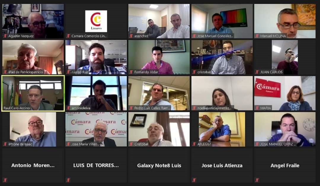 Reunión on line de empresarios industriales de Linares. Reunión on line de empresarios industriales de Linares.