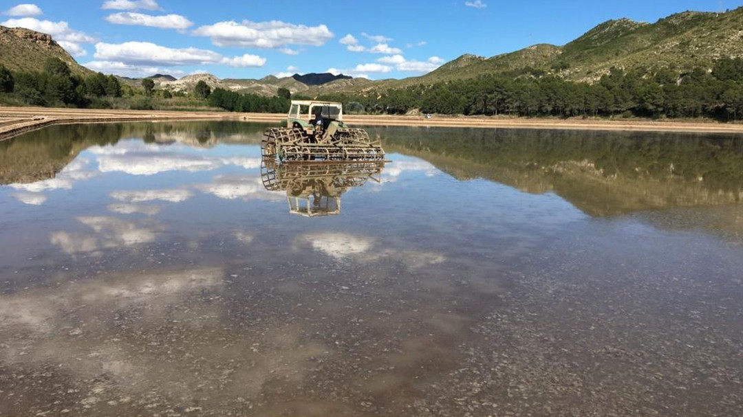 Arranca la nueva temporada del arroz de Calasparra