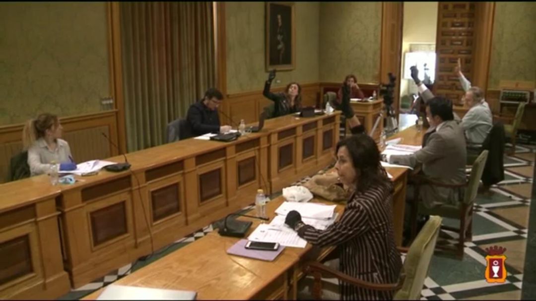 Un momento de la sesión plenaria que se ha retransmitido por Internet y sin presencia de público Un momento de la sesión plenaria que se ha retransmitido por Internet y sin presencia de público