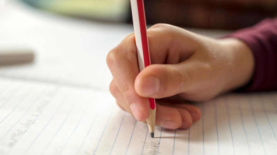 Toda la información sobre escolarización 20-21