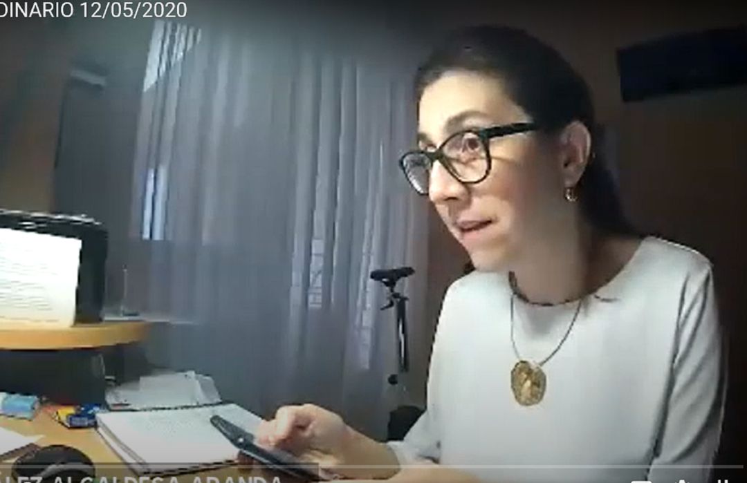 Las reuniones se realizan estos días de forma telemática Las reuniones se realizan estos días de forma telemática