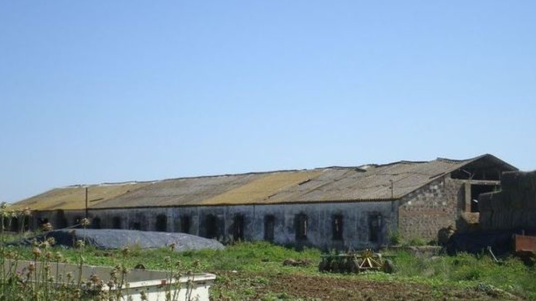 Extremadura en la Historia: Colonia penitenciaria de Montijo