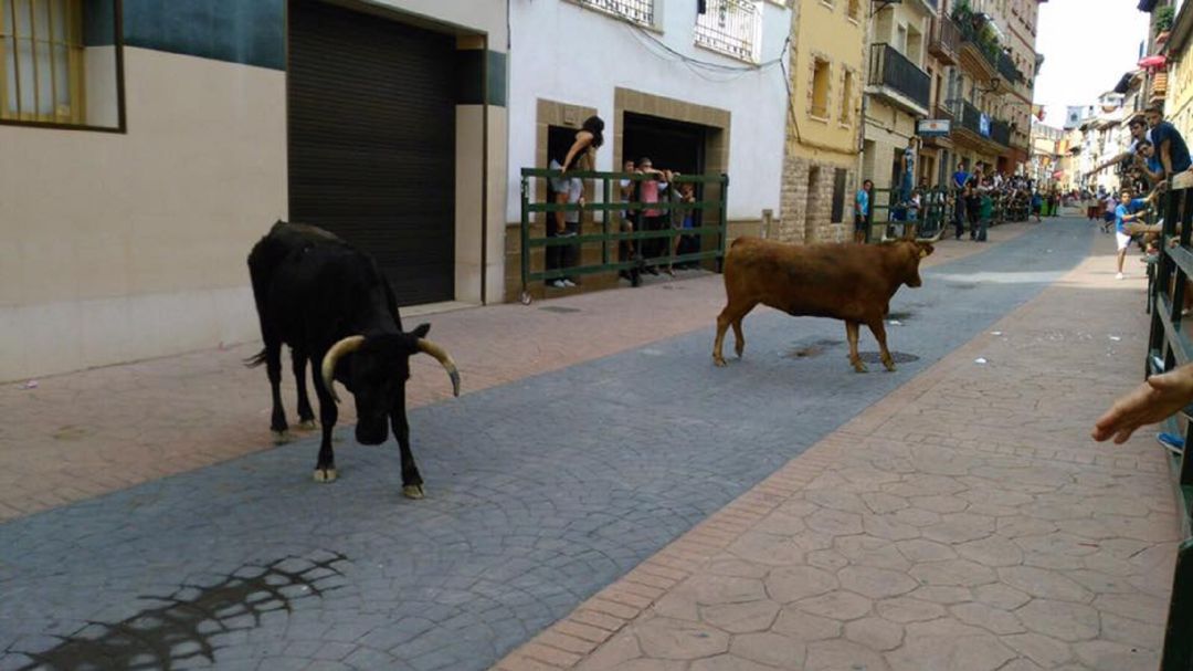 Imagen de archivo de un encierro en las calles de Ejea de los Caballeros durante unas fiestas patronales Imagen de archivo de un encierro en las calles de Ejea de los Caballeros durante unas fiestas patronales