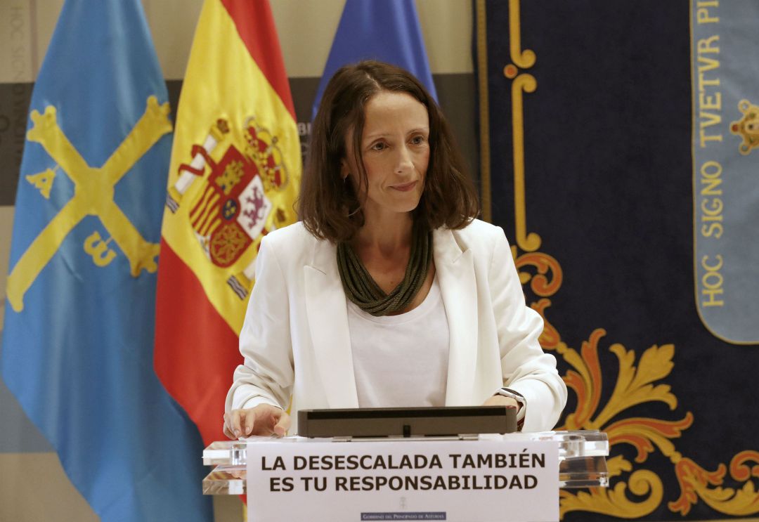 La consejera de Derechos Sociales y Bienestar, Melania Álvarez, durante la rueda de prensa telemática celebrada tras la reunión del Consejo de Gobierno. La consejera de Derechos Sociales y Bienestar, Melania Álvarez, durante la rueda de prensa telemática celebrada tras la reunión del Consejo de Gobierno.
