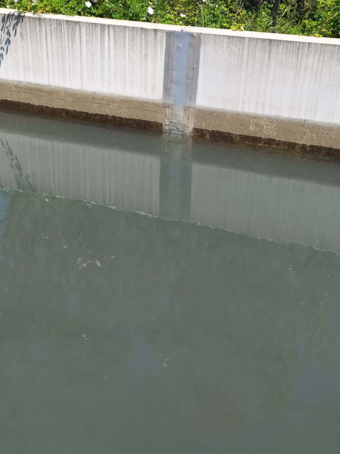 Estado del agua a su paso por Cubillos Estado del agua a su paso por Cubillos