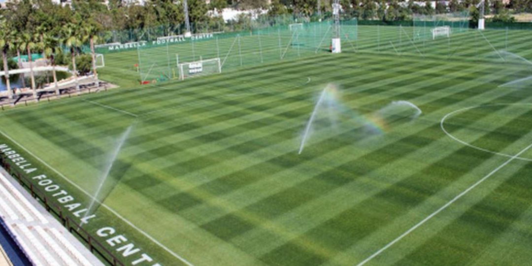 Campo de césped del Marbella Football Center. Campo de césped del Marbella Football Center.