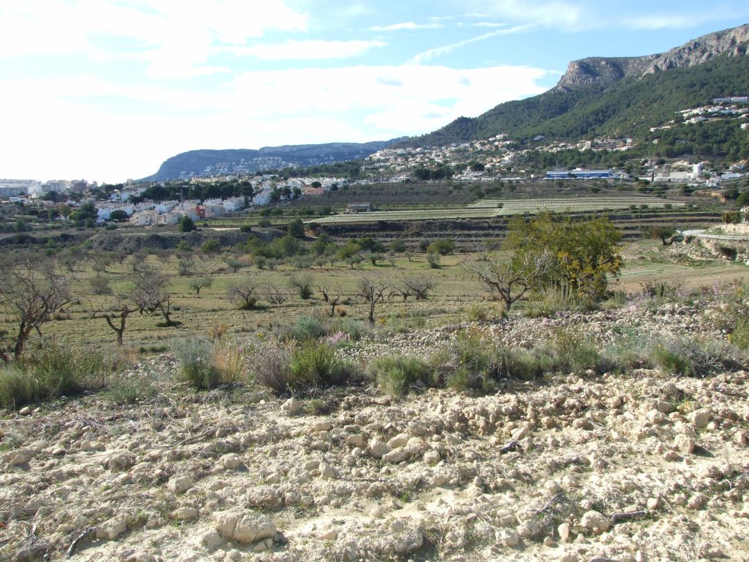 Zona Pou Roig. Calp Zona Pou Roig. Calp