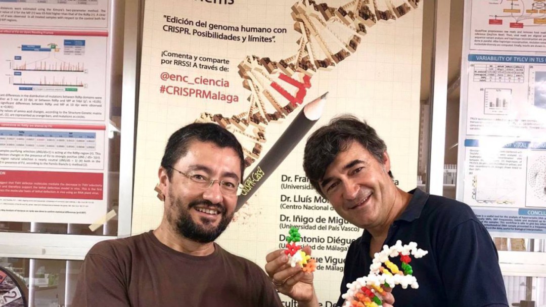 ¿Y si la solución a la pandemia estuviera en tus genes?