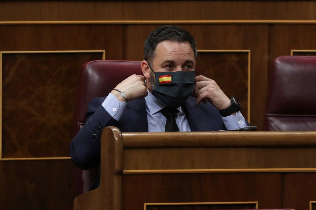 El líder de Vox, Santiago Abascal, en el Congreso de los Diputados El líder de Vox, Santiago Abascal, en el Congreso de los Diputados