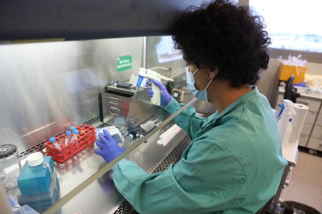 Un biólogo trabaja en un laboratorio del Centro de Biología Molecular Severo Ochoa en el Campus de Cantoblanco de la Universidad Autónoma durante el tercer día de su reapertura desde que se establecieron las nuevas medidas de la desescalada. Un biólogo trabaja en un laboratorio del Centro de Biología Molecular Severo Ochoa en el Campus de Cantoblanco de la Universidad Autónoma durante el tercer día de su reapertura desde que se establecieron las nuevas medidas de la desescalada.