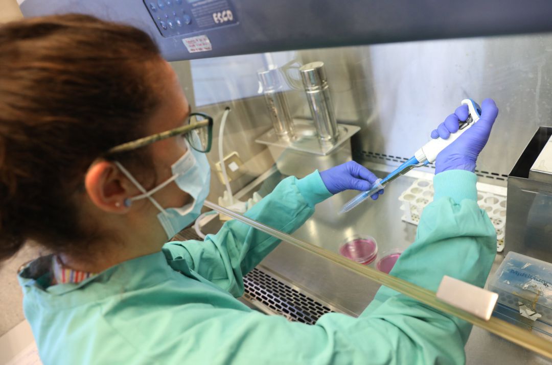 Una bióloga trabaja en un laboratorio del Centro de Biología Molecular Severo Ochoa en el Campus de Cantoblanco de la Universidad Autónoma durante el tercer día de su reapertura. Una bióloga trabaja en un laboratorio del Centro de Biología Molecular Severo Ochoa en el Campus de Cantoblanco de la Universidad Autónoma durante el tercer día de su reapertura.