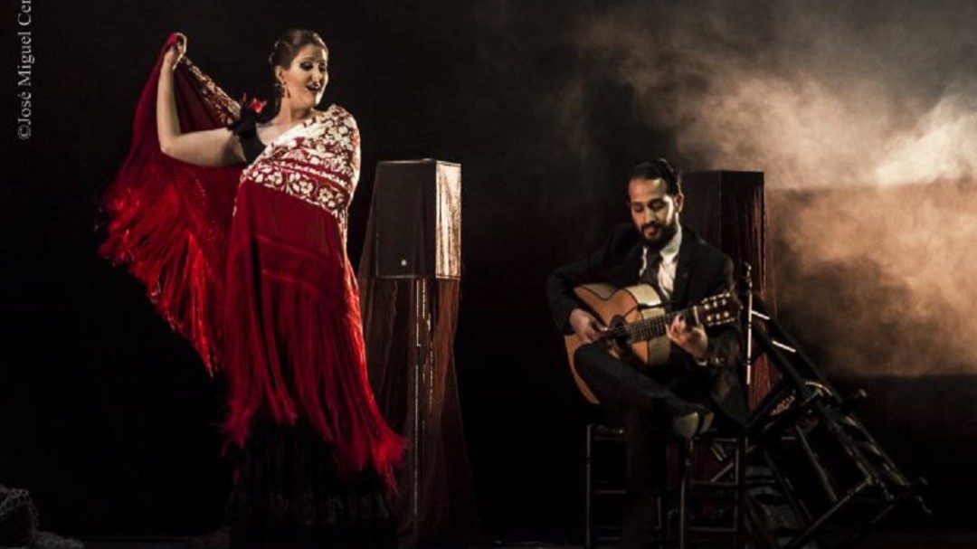 La Fundación Cante de las Minas crea una plataforma de formación on-line de flamenco
