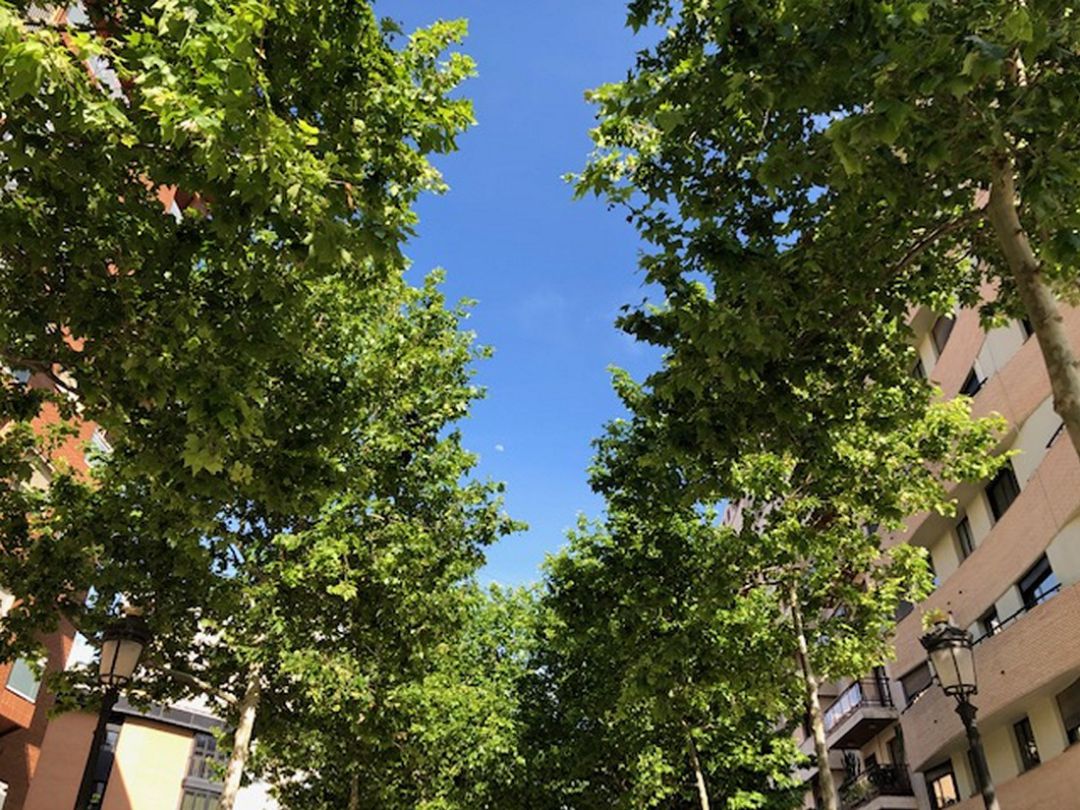Cielo despejado en la ciudad de Gandia Cielo despejado en la ciudad de Gandia