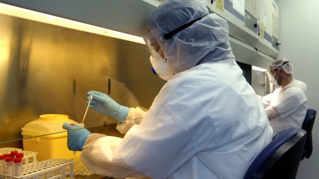 Dos investigadores manejan pruebas de test de coronavirus. Dos investigadores manejan pruebas de test de coronavirus.