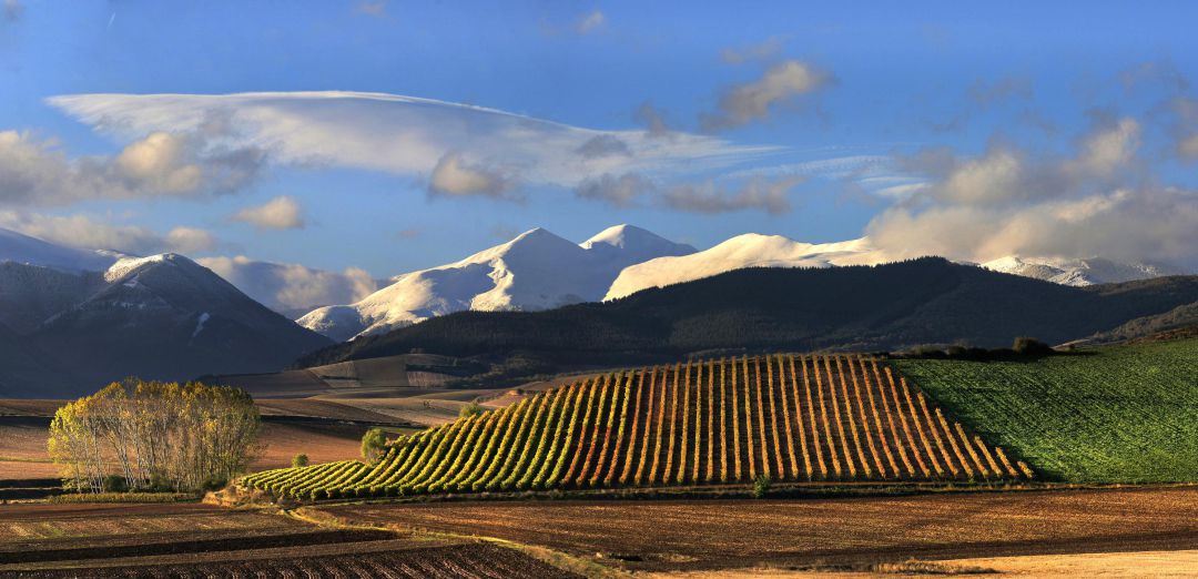 Paisaje riojano. Paisaje riojano.