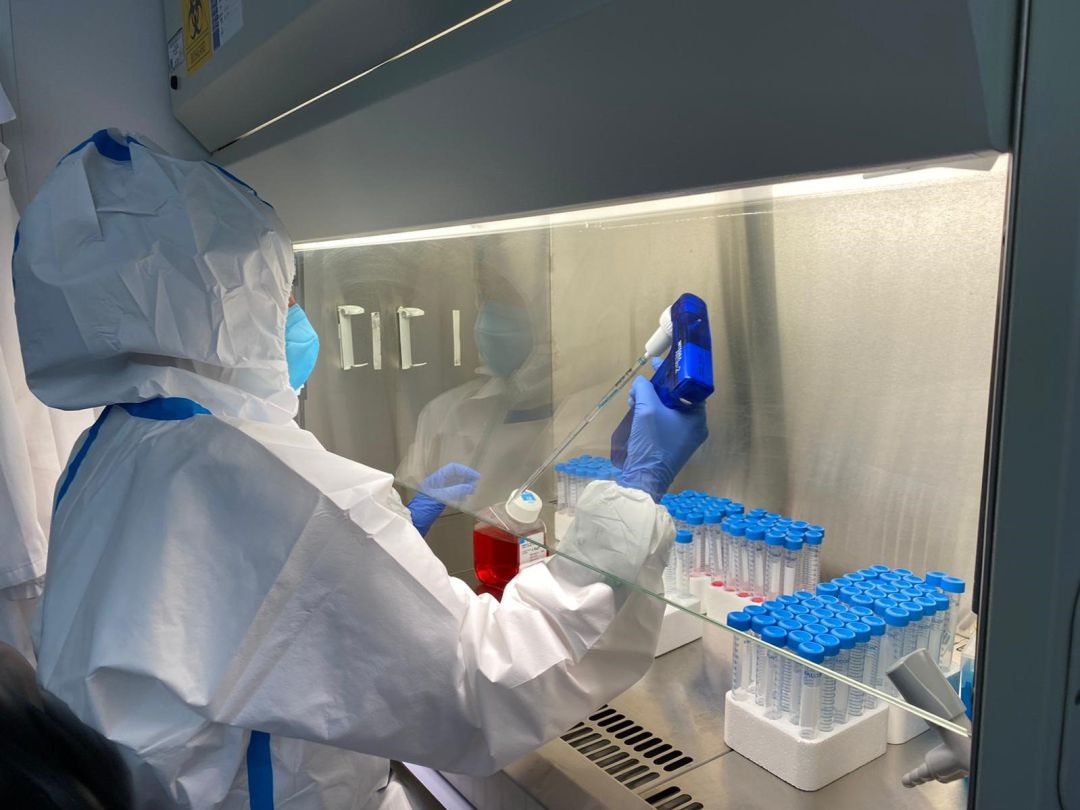 Una investigadora en el laboratorio. Una investigadora en el laboratorio.