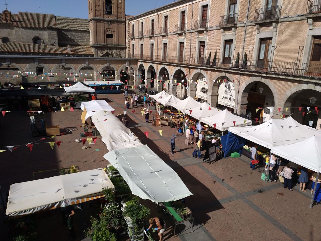 Mercadillo de frutas y verduras en el Mercado Chico (Ávila) Mercadillo de frutas y verduras en el Mercado Chico (Ávila)