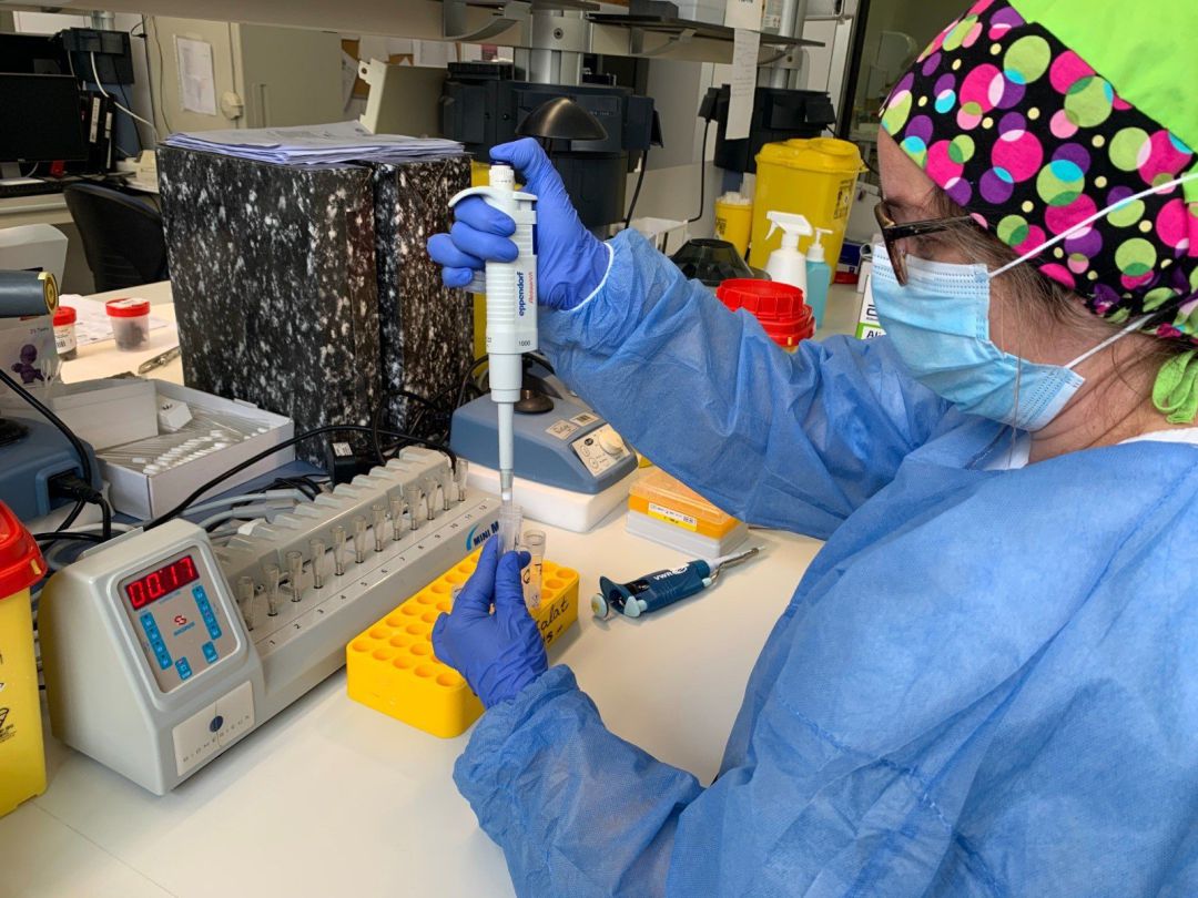 Prueba PCR Prueba PCR